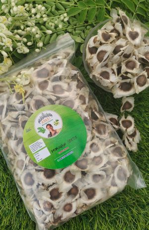 Moringa Seed cultivation (100 gm)