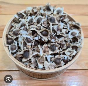 Murungai seeds ( cultivation) (250gm-520/-)