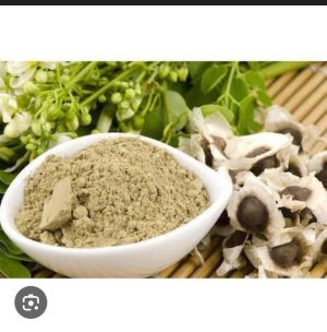 Murungai vidhai podi (250gm-520/-)