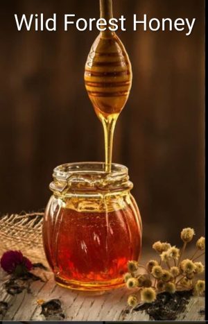Wild Forest Honey